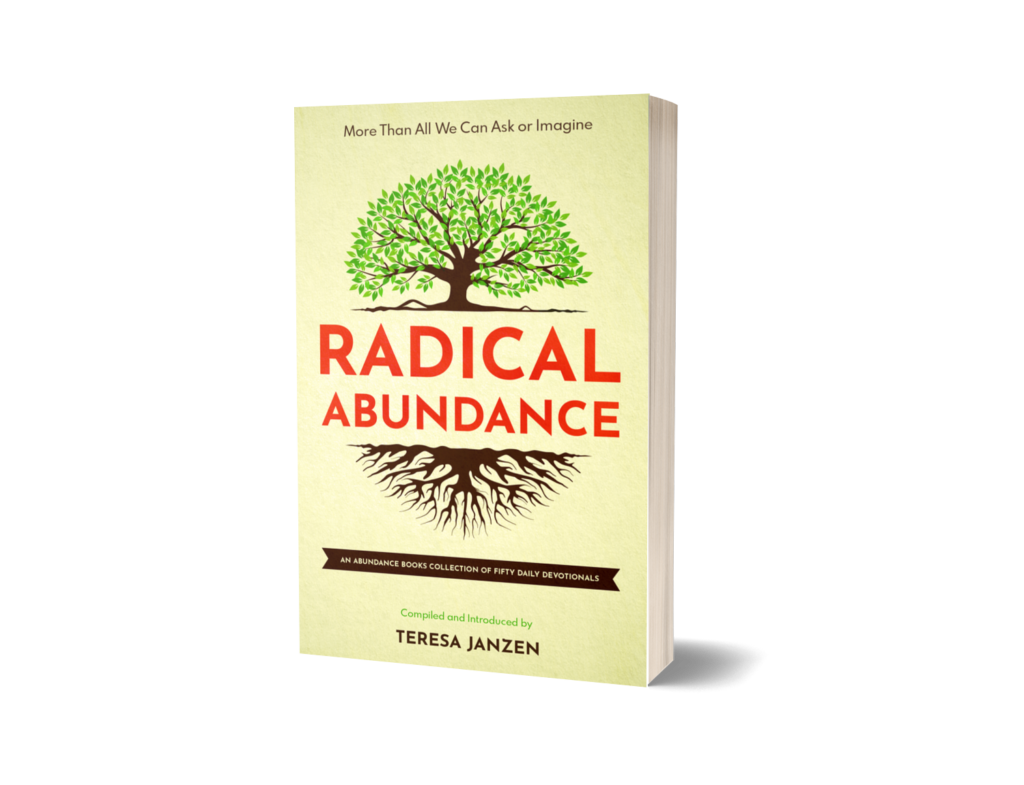 Radical Abundance Devotional