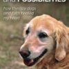 Paws, Purpose, and Possibilities: How Therapy Dogs and Faith Healed My Heart