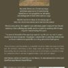 Paws, Purpose, and Possibilities: How Therapy Dogs and Faith Healed My Heart - Image 3