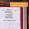 NIV, OUR FAMILY STORY BIBLE, EXCLUSIVE EDITION (COMFORT EDITION) - Image 5