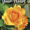 Your Words Your Heart - Image 2